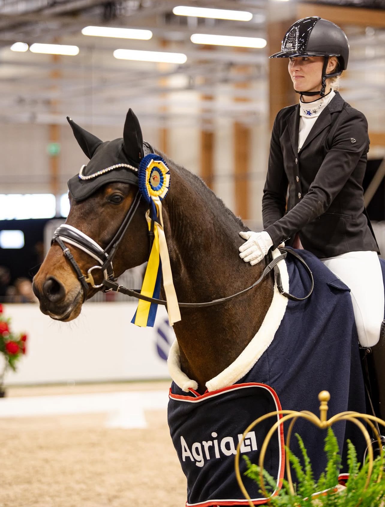 Breeches Bundle - Spar 699 kr.