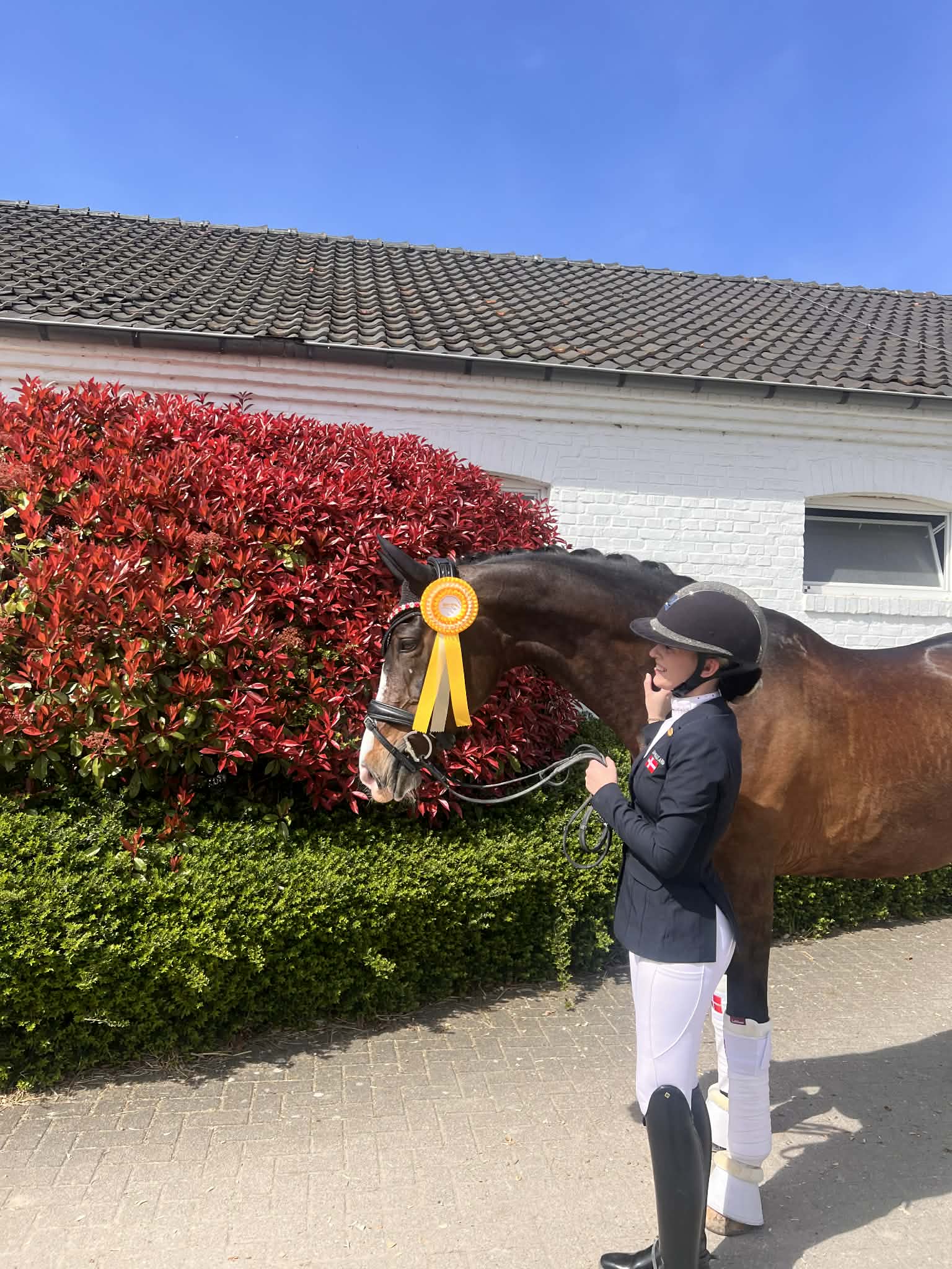 Breeches Bundle - Spar 699 kr.